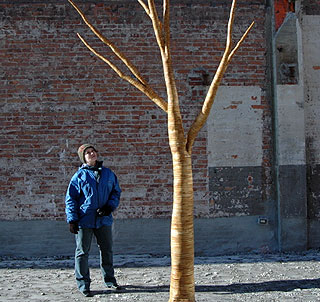 plywood tree by christopher robbins