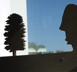 planked mechanical by christopher robbins